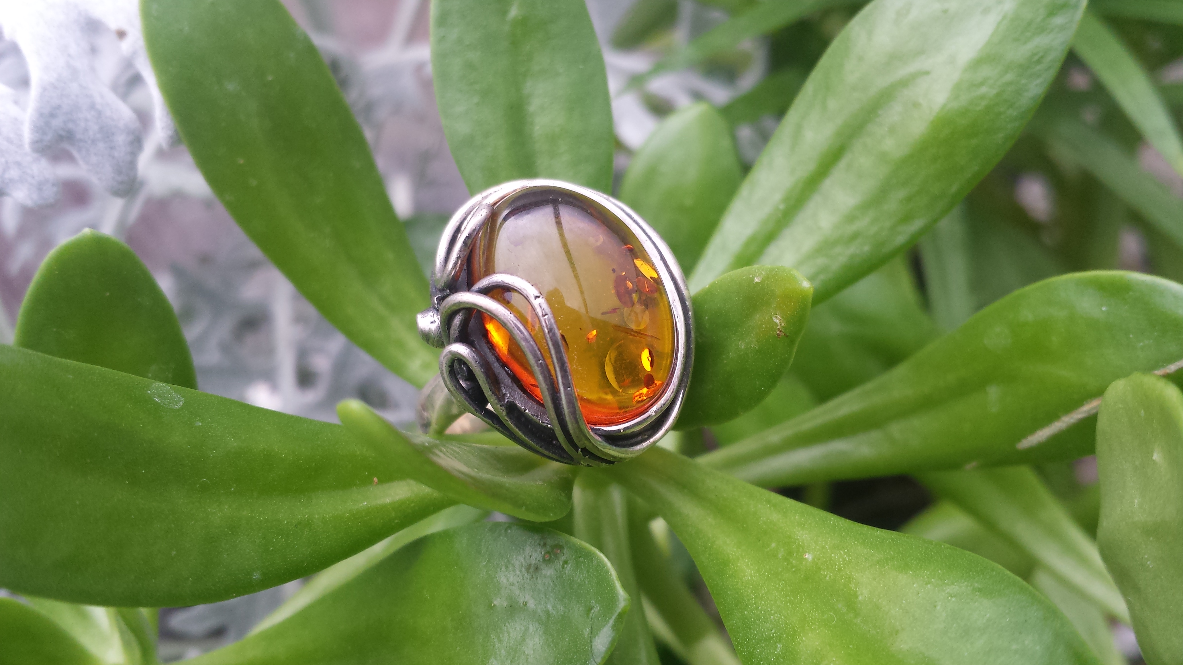 BALTIC HONEY AMBER RING & SOLID 925 STERLING SILVER 10 G